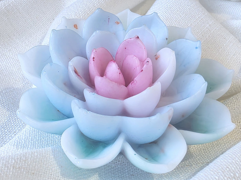 Lotus of Soft Awakening
