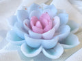 Lotus of Soft Awakening