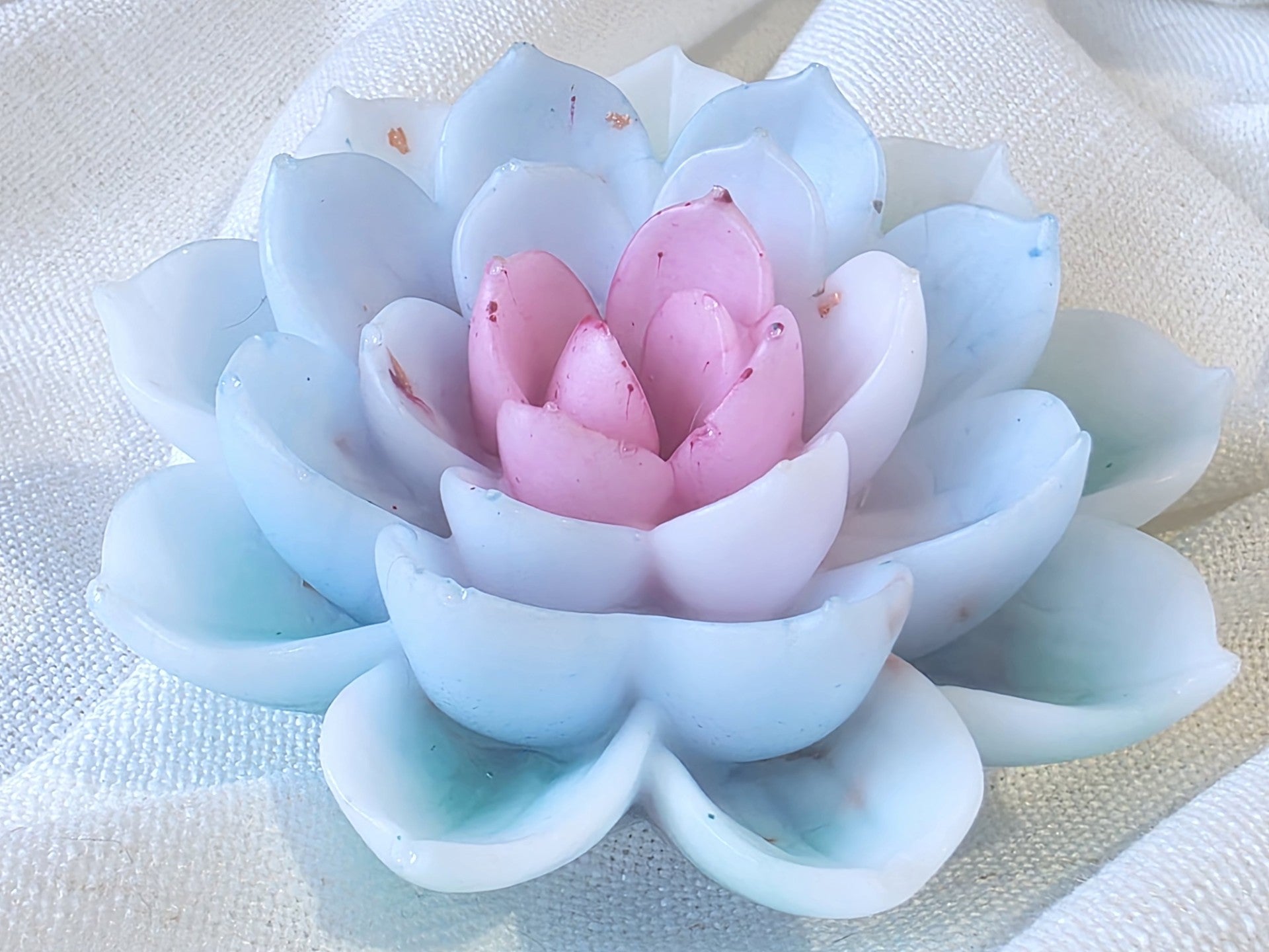 Lotus of Soft Awakening