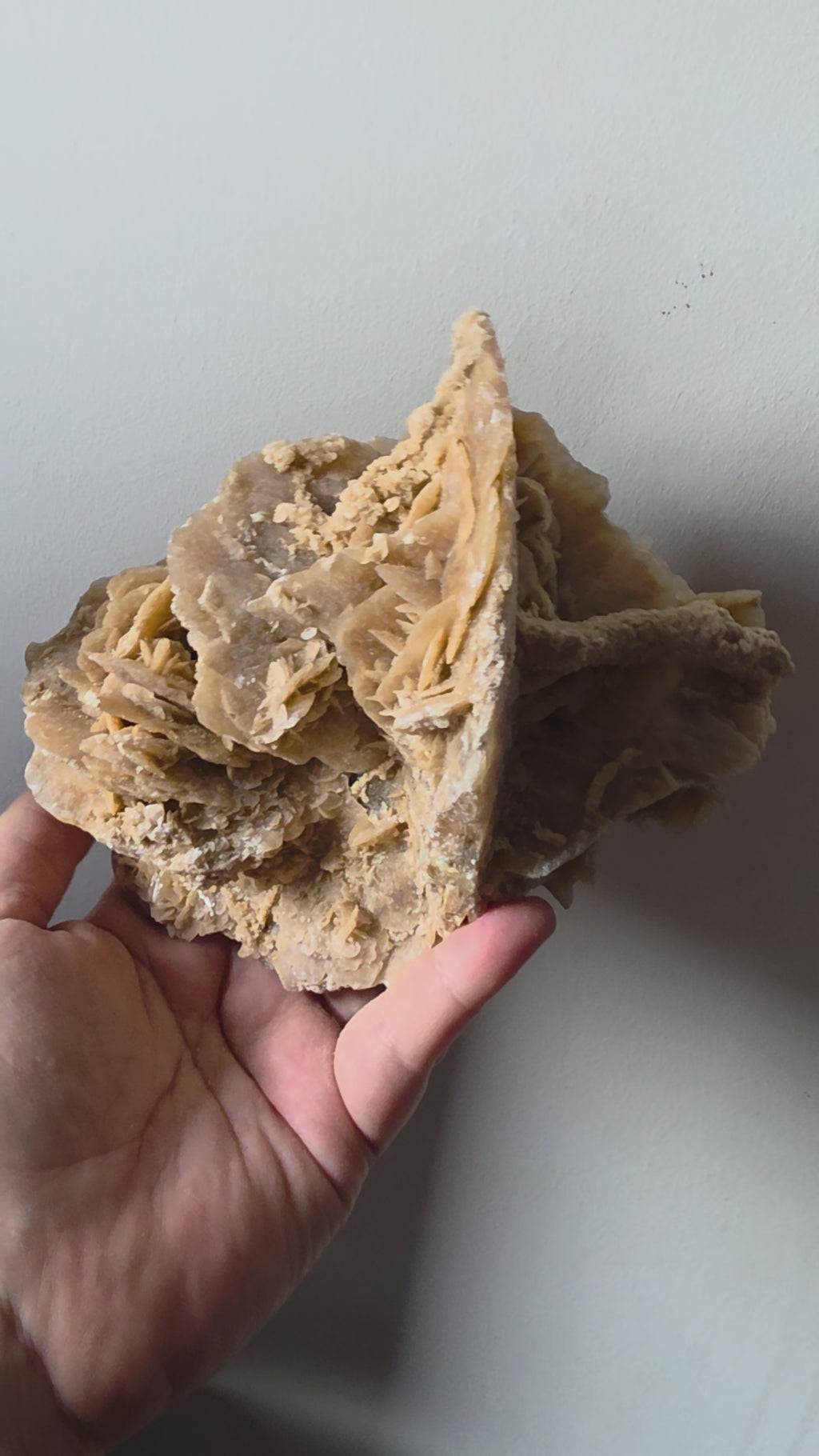 Large Desert Rose Gypsum Cluster | 950g Natural Statement Specimen