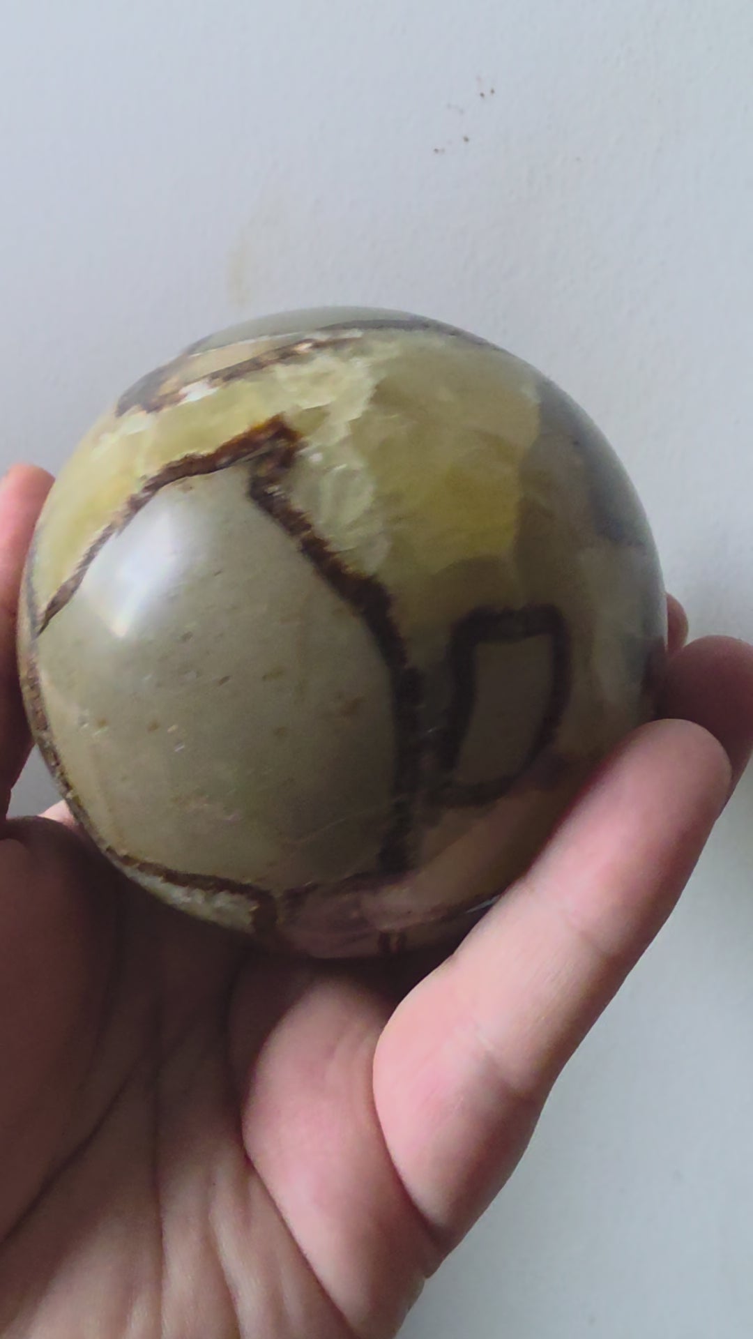 Septarian Dragon Stone Sphere 750g | Yellow Calcite Crystal Statement Piece