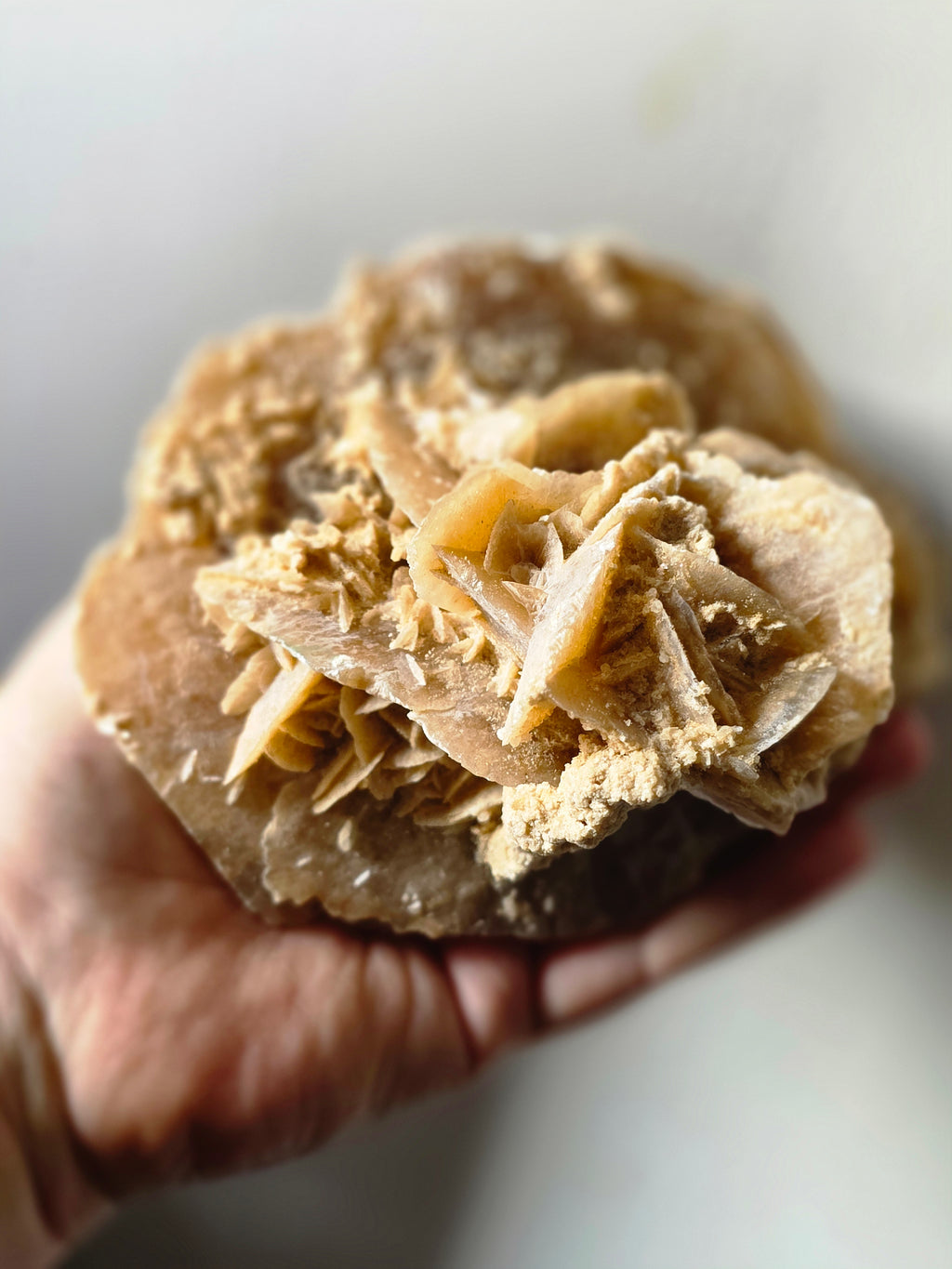 Large Desert Rose Gypsum Cluster | 950g Natural Statement Specimen