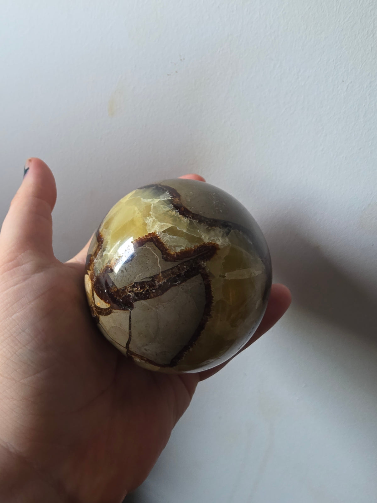 Septarian Dragon Stone Sphere 750g | Yellow Calcite Crystal Statement Piece