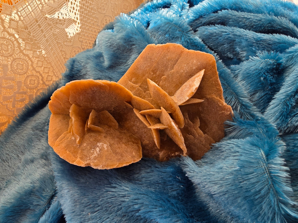 Desert Rose