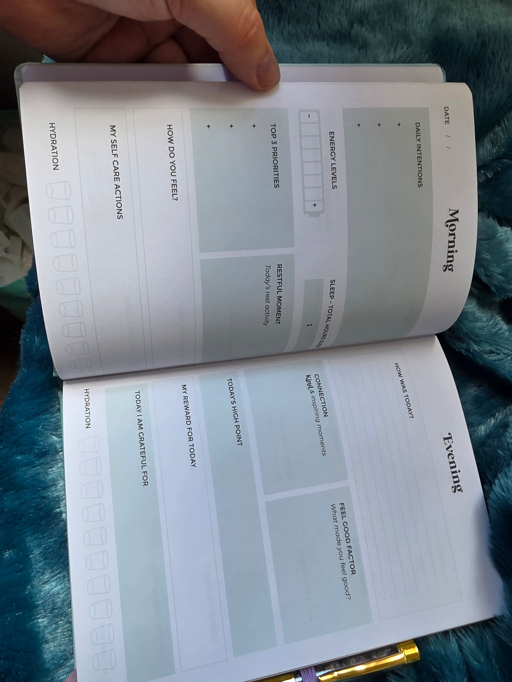 Wellness Journal with Amethyst Crystal Pen