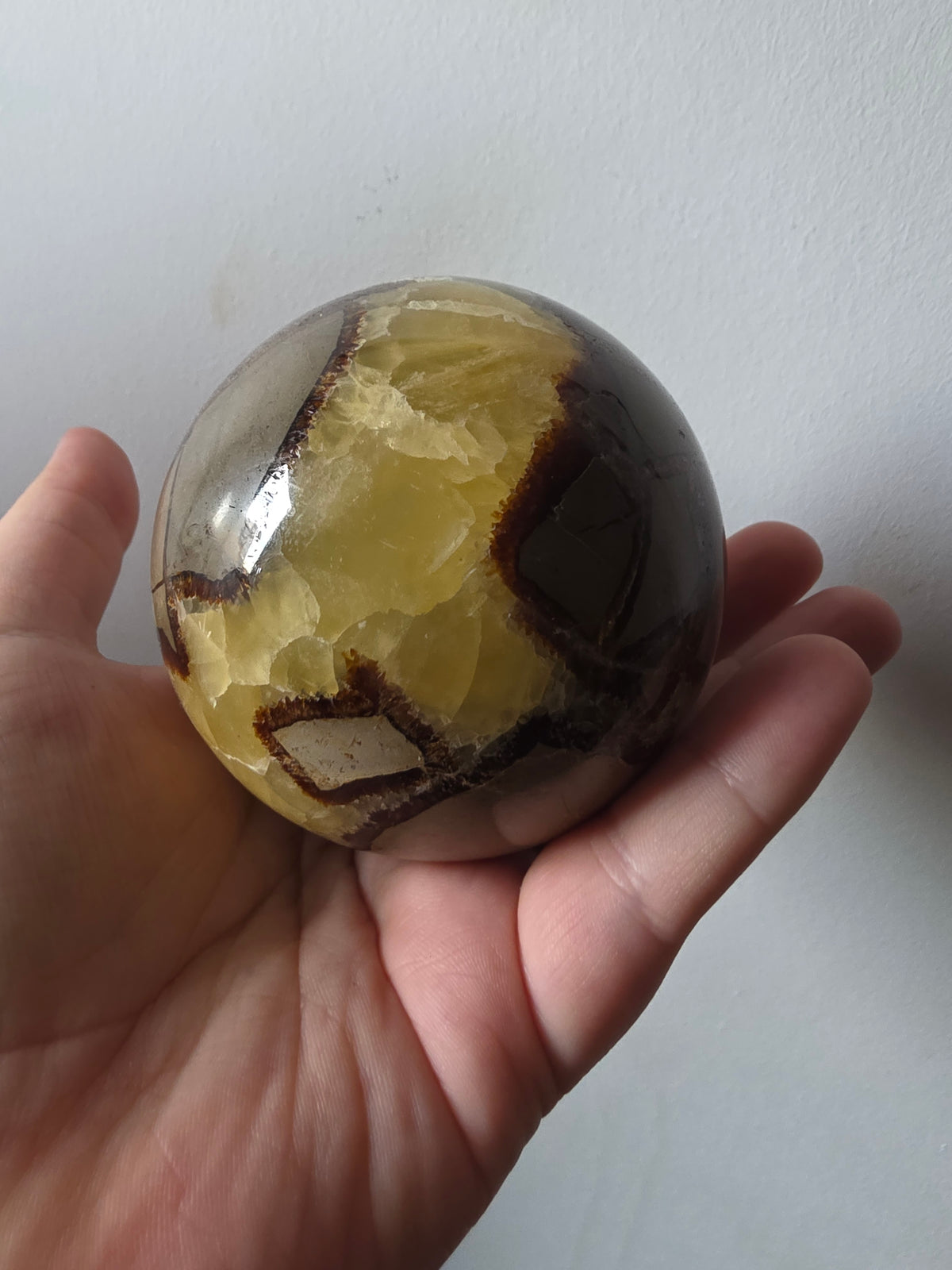 Septarian Dragon Stone Sphere 750g | Yellow Calcite Crystal Statement Piece