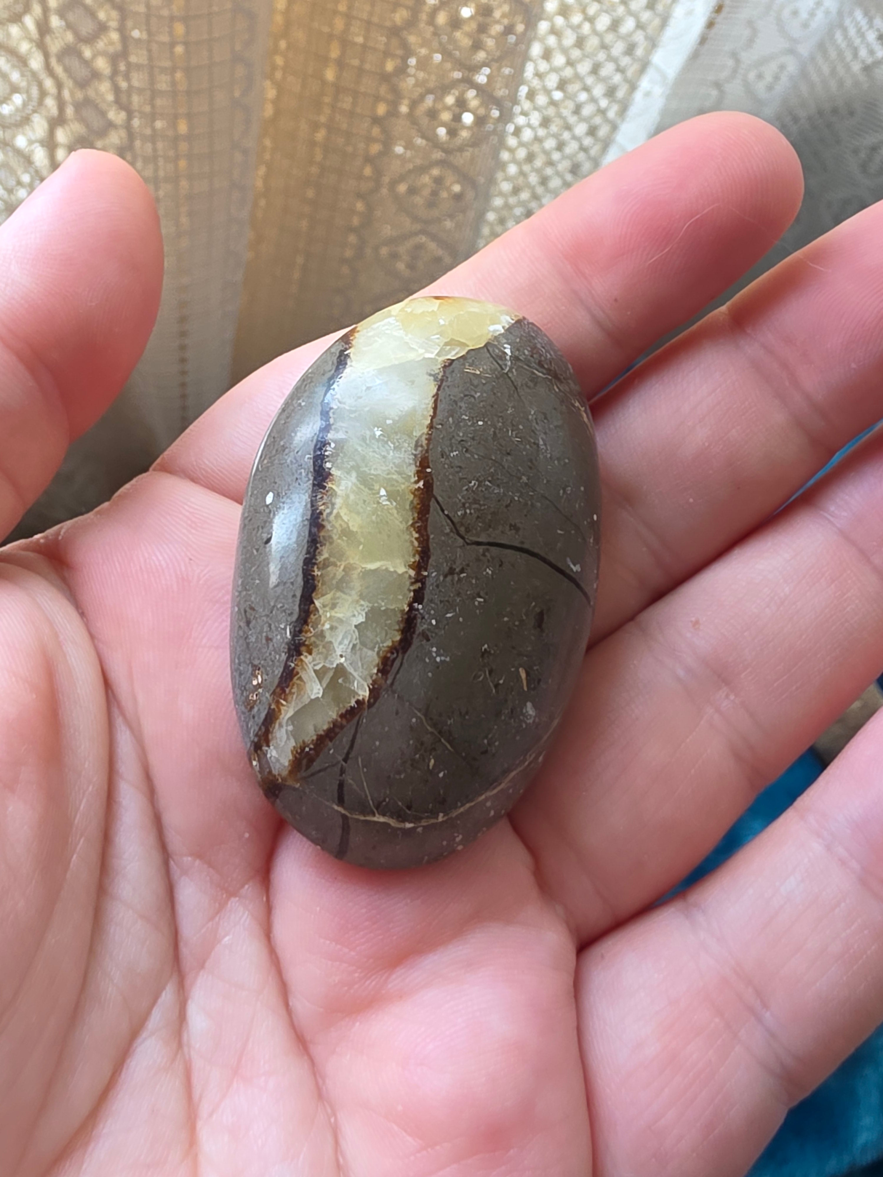 Septarian Palm Stone
