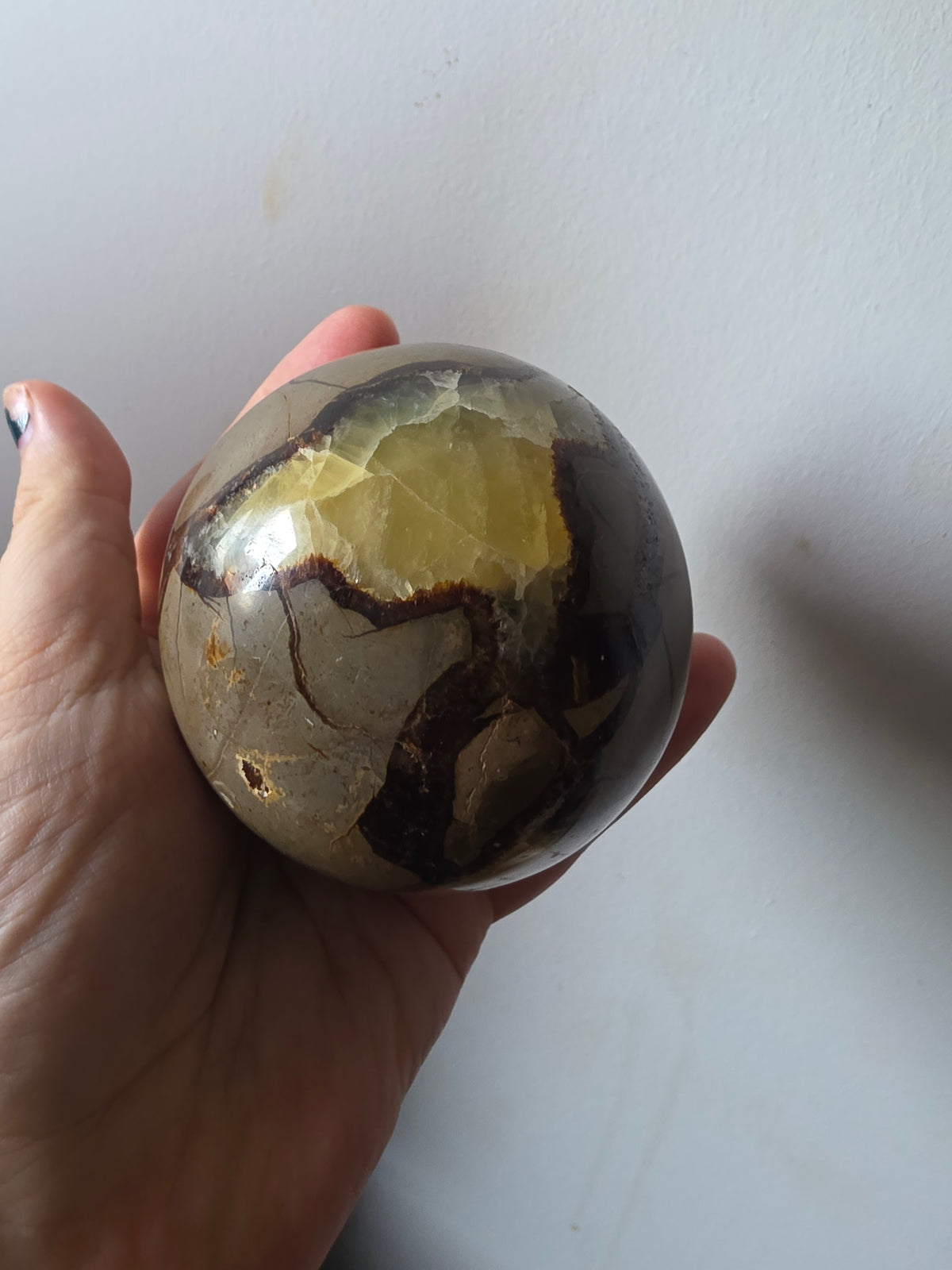 Septarian Dragon Stone Sphere 750g | Yellow Calcite Crystal Statement Piece