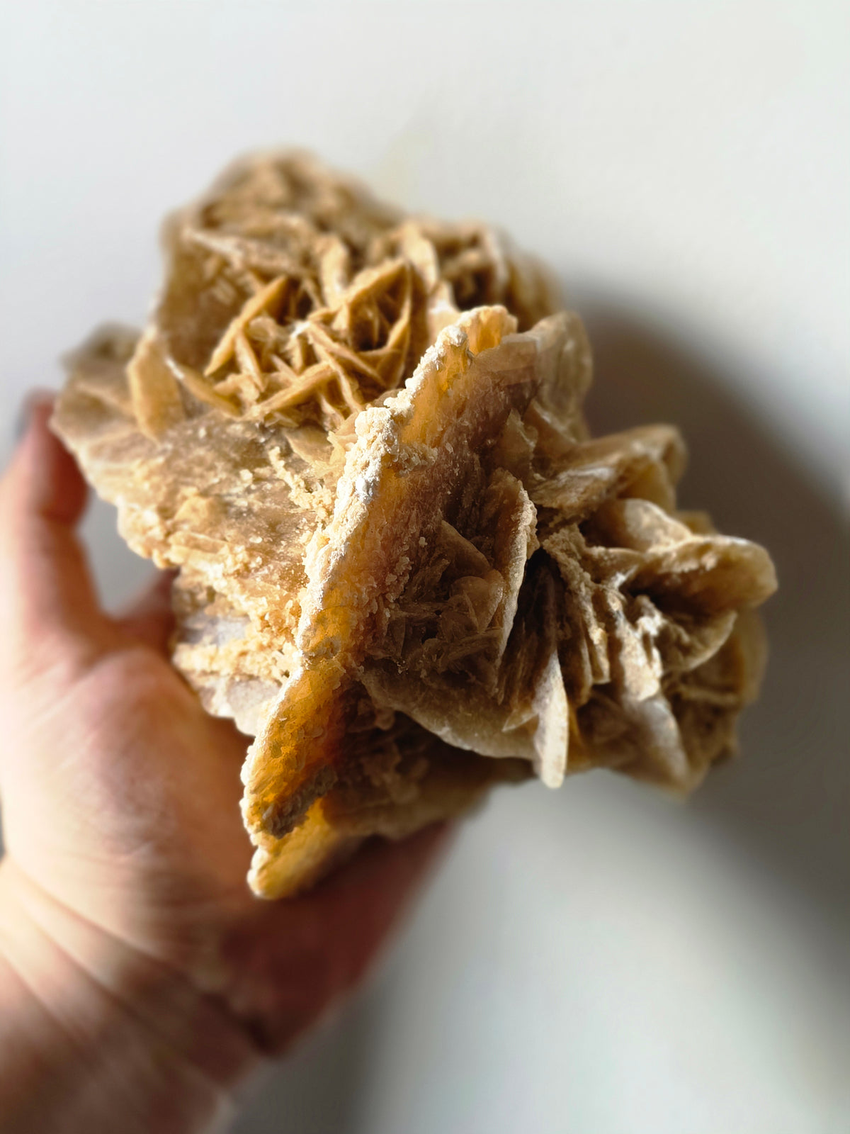 Large Desert Rose Gypsum Cluster | 950g Natural Statement Specimen
