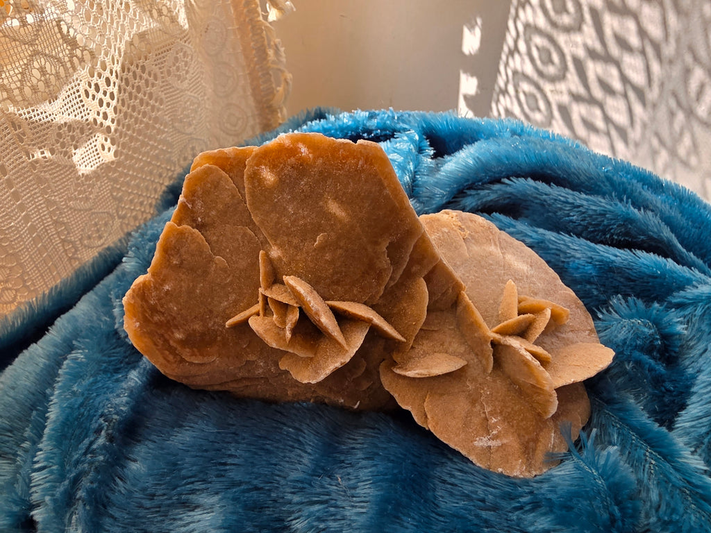 Desert Rose