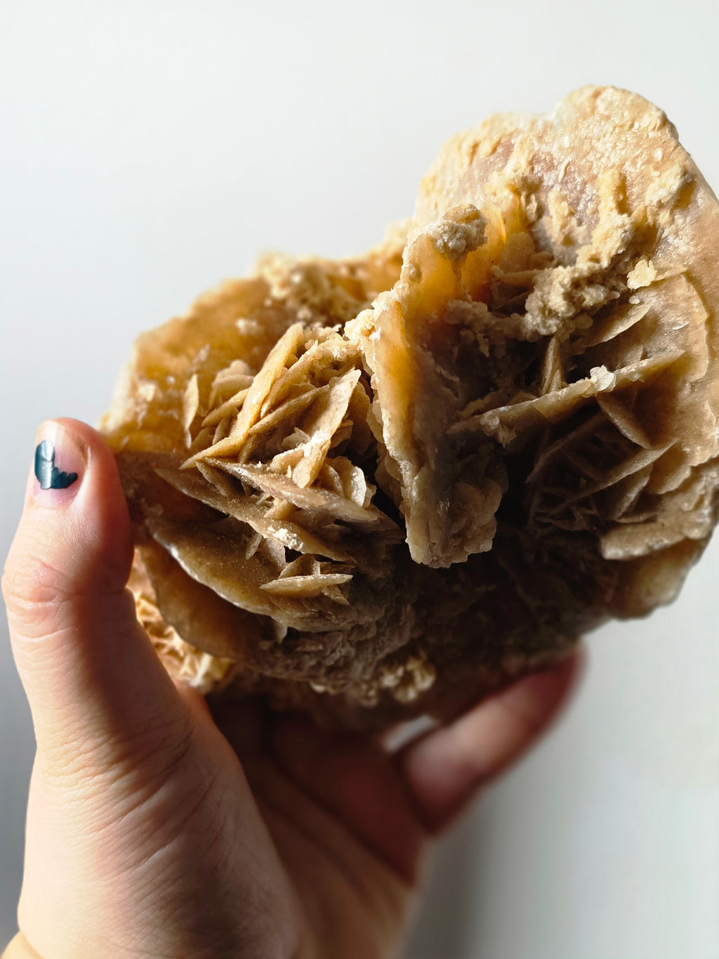 Large Desert Rose Gypsum Cluster | 950g Natural Statement Specimen