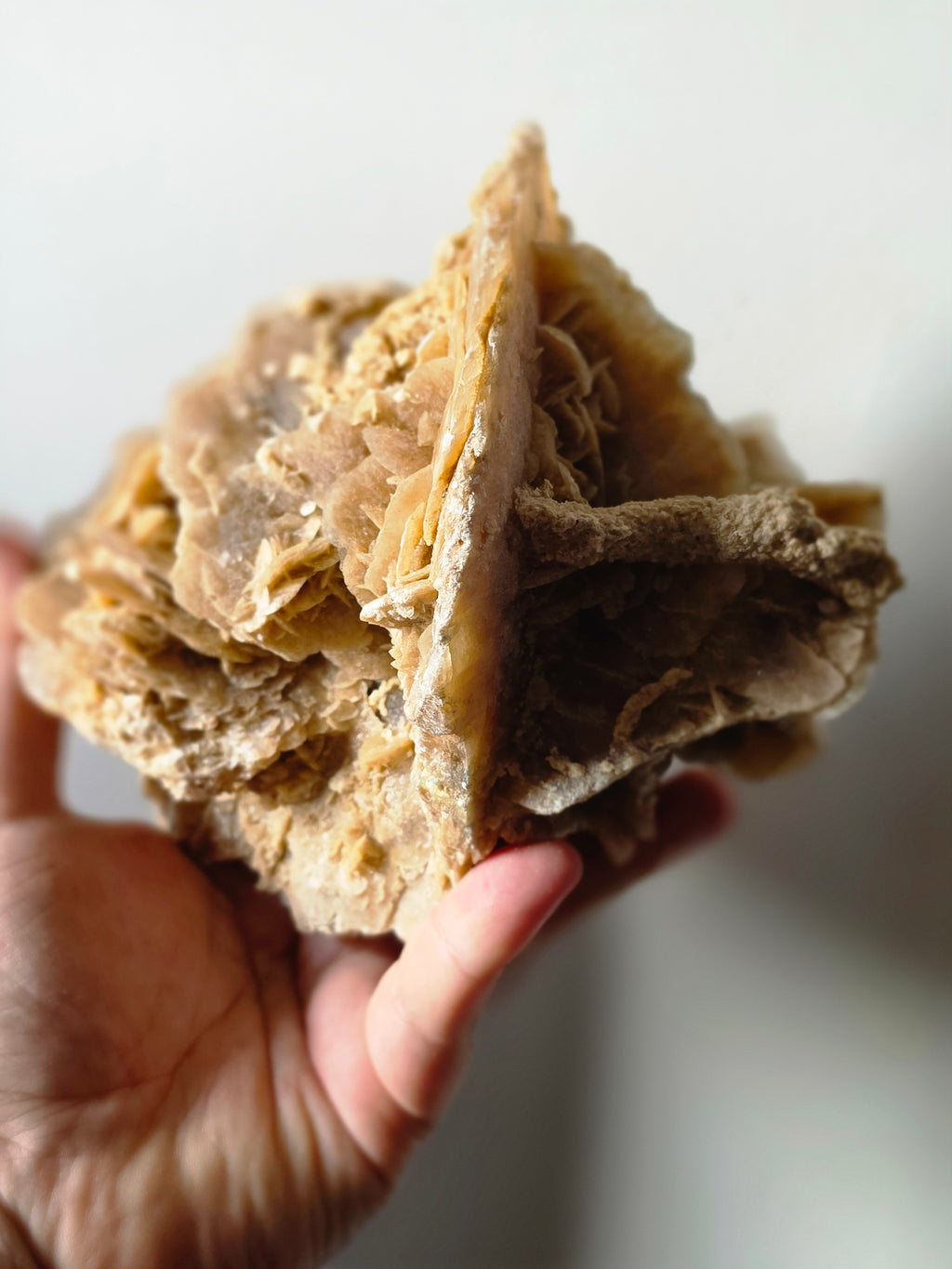 Large Desert Rose Gypsum Cluster | 950g Natural Statement Specimen