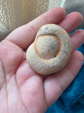 Botryoidal Chalcedony Duo