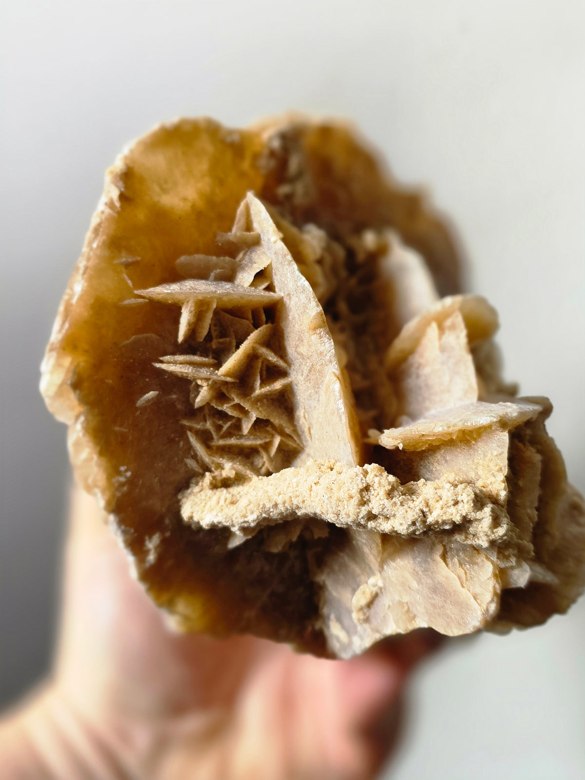 Large Desert Rose Gypsum Cluster | 950g Natural Statement Specimen