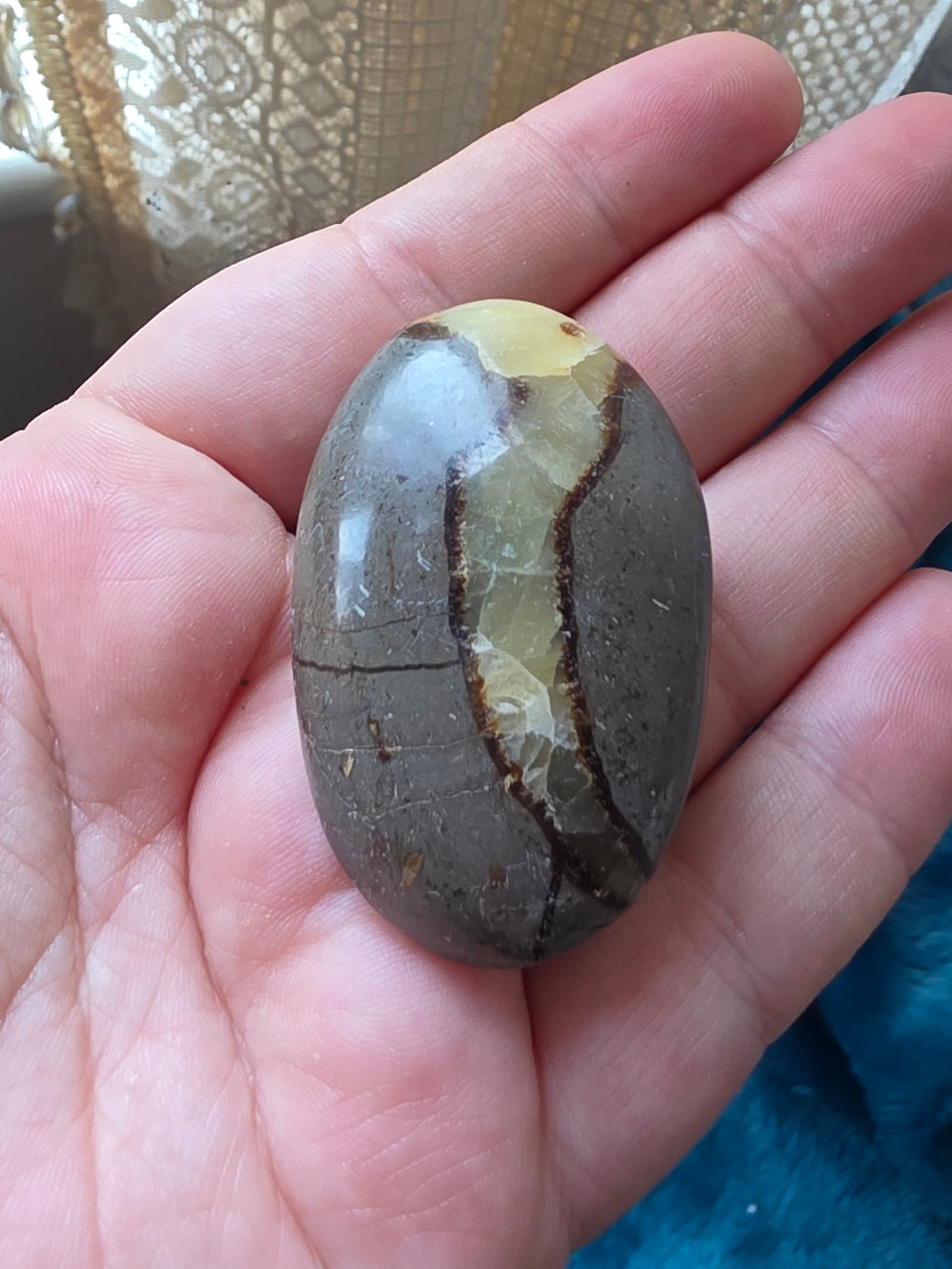 Septarian Palm Stone